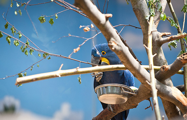 代理价直销的ddos攻击测试工具