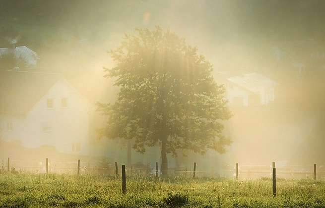 网络ddos监测分析工具