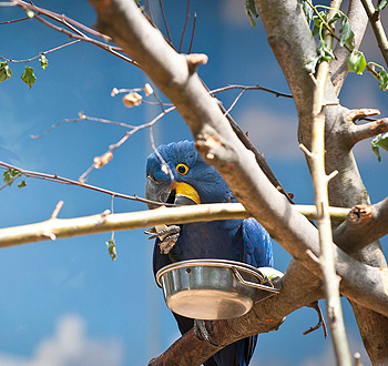 攻击网站的方法