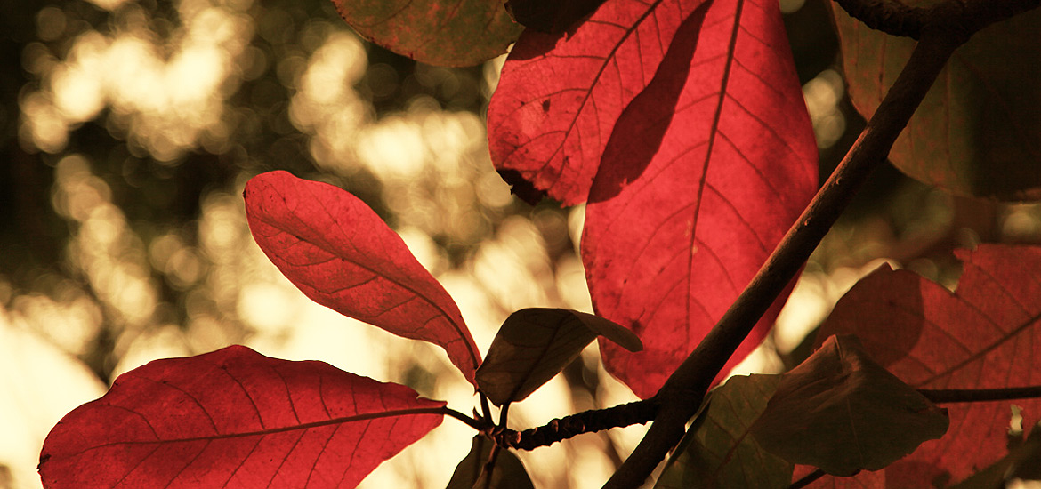 平台在线ddos压力测试