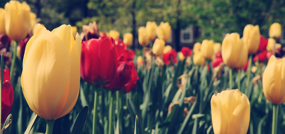 DDOS在线压力测试