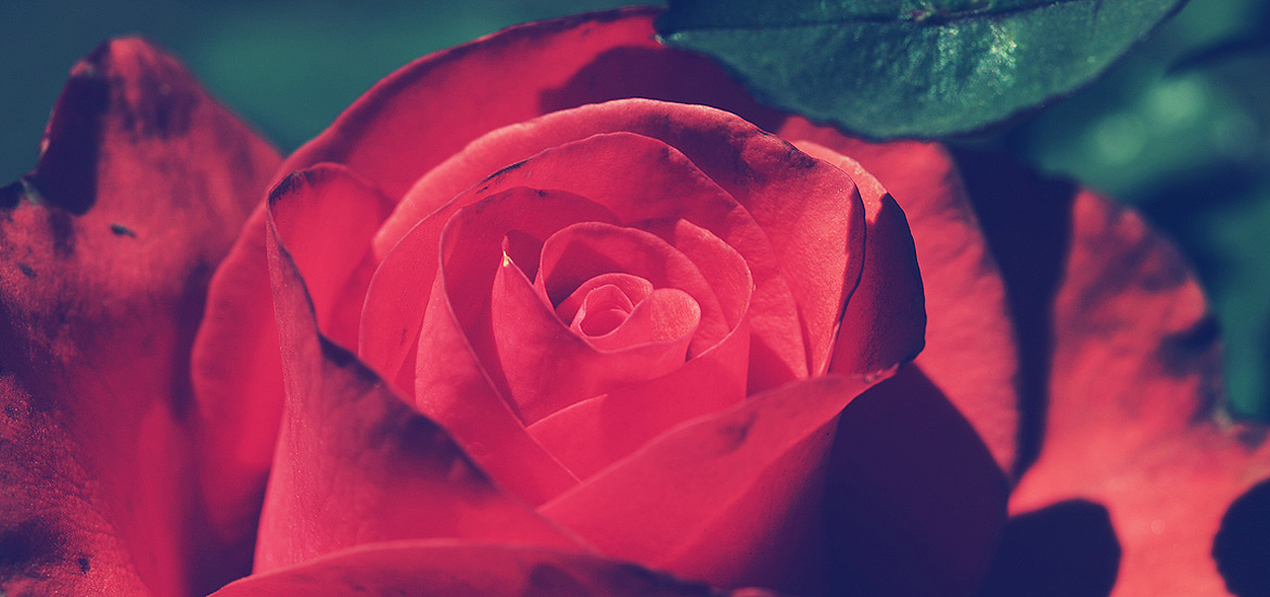 软件市场安全的ddos压力在线测试平台